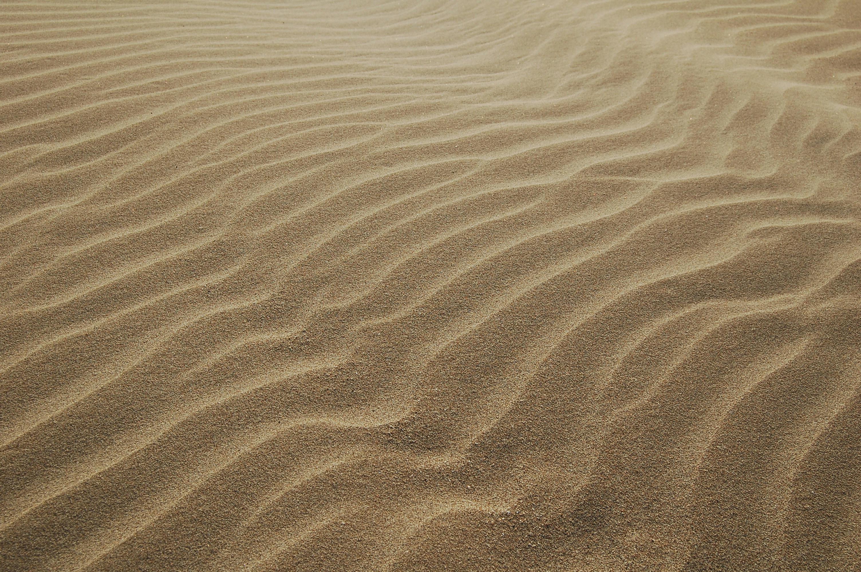 Sand ripples
